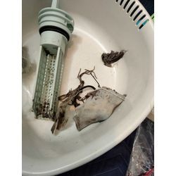 洗濯機　排水が出来ない　脱水が出来ないの画像1