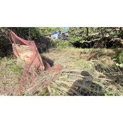 自宅のみかん畑の草刈り！の画像2