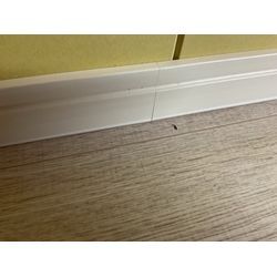 放っておくと広がるかも、、の画像1