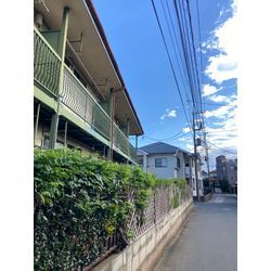 庭木・高木の伐採・抜根お任せください！切り株処理・後片付けまで丁寧対応の画像1