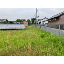 今日は広範囲の除草です。の画像1