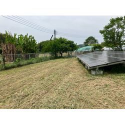 今日は広範囲の除草です。の画像3