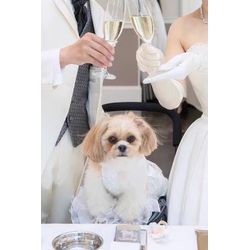 「ウェディングペットシッターサービス」とはの画像1