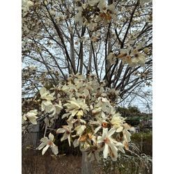 嬉しい感想、届きました。の画像1