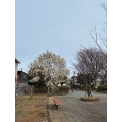 嬉しい感想、届きました。の画像2