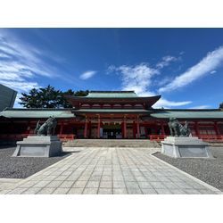 今年初の七五三の画像1