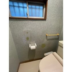 所沢　砂壁塗装　「穴や傷がありますが問題ありませんか？」というご質問の画像2