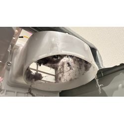 ドラム式洗濯機分解洗浄_東芝ZABOON_TW-127XH3R_大磯の画像1