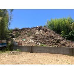 津市　偏心木の画像3