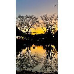 上府中公園_小田原球場の画像1