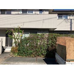 鈴鹿市　生垣剪定の画像3