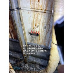 福岡県太宰府市　ネズミ　駆除　侵入　対策の画像1