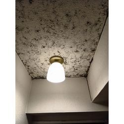 団地・マンションのカビ除去後の画像3