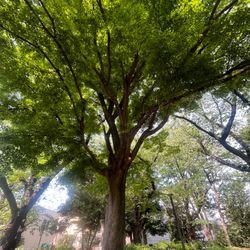 ゴミ屋敷お片付け　くらしのマーケットの画像1