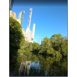 2026年5月ー今月の状況の画像2