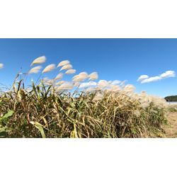 撮影のメソッド、豆知識の画像1