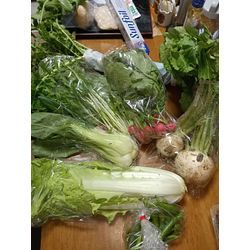 ダブルワークオーバーイーツ利用独身３０代女性本日野作り置きメニュー✨の画像1