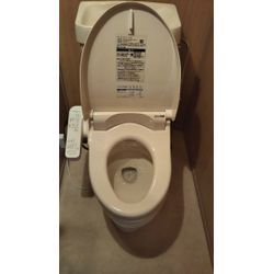 温水シャワー便座交換リフォームの画像3