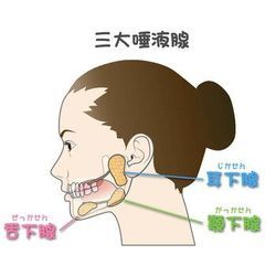 【必見！唾液が与える美容効果とは！？】 こんにちは！の画像1