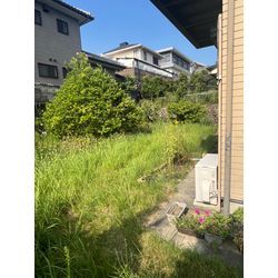 立木伐採、防草シート施工の画像1