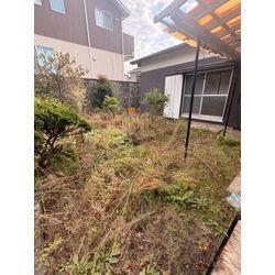 草刈りまだまだやります💪の画像1