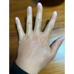 蜂と私と、自由な1日の画像1