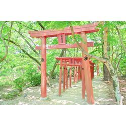 【神社紹介】～圧倒的に紅葉が美しい　鬼滅の聖地～　✨宝満宮 竈門神社✨の画像3