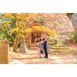 【神社紹介】～圧倒的に紅葉が美しい　鬼滅の聖地～　✨宝満宮 竈門神社✨の画像1