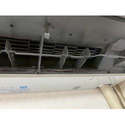 アレルギー・喘息が悪化する原因はエアコン内部のカビかも？の画像1