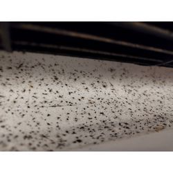 エアコンシーズンもそろそろ終わりですね🎄の画像1