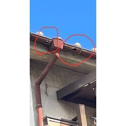 雨樋修理、清掃の画像2
