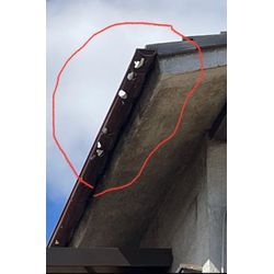 雨樋修理、清掃の画像1