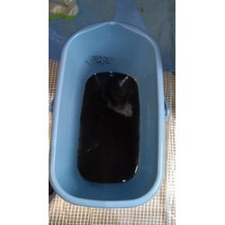 エアコン洗浄❗️繁忙期到来❗️の画像3