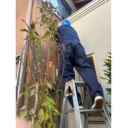 サンタクロースじゃないけれど・・・の画像1