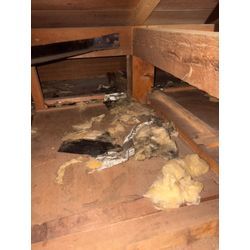 ☾°̥࿐໒꒱スタッフ　ブログ ⡱☾°̥࿐໒꒱　花粉の季節が来てますねの画像2