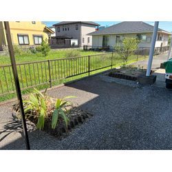 伐採いたしました　ハナミズキとキンモクセイの画像3