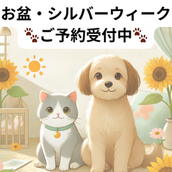 夏休み・お盆／秋の連休のご予約受付中です🌻🍁の画像1