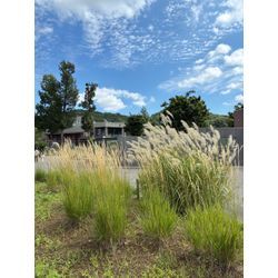 北海道の美しい街並みと、川越の秋の気配の画像1