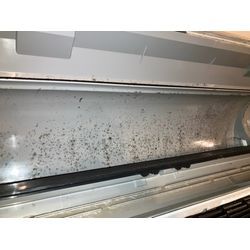 【完全分解洗浄レポート19】ダイキン S363ATES-W｜シンプル構造でも内部は要注意！徹底分解でリフレッシュの画像2