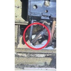 ※注意※ネズミの室内侵入のご相談が急増しています！の画像1