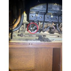 ※注意※ネズミの室内侵入のご相談が急増しています！の画像2