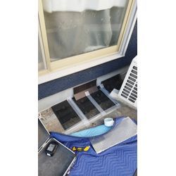 ネズミ捕獲作業の画像3