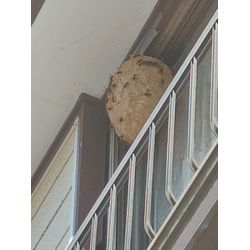 ご予約が殺到しております。の画像3