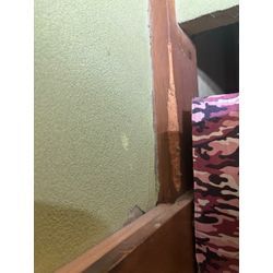 埼玉県ネズミ駆除の画像1