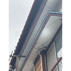 横浜市ネズミ駆除の画像1