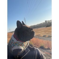 🌸 新春特別サービス実施のお知らせ 🌸の画像1