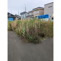 津波だぁ～💨の画像1
