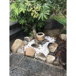 【地域密着】緑豊かな空間を創る★庭木剪定プロフェッショナルの画像1