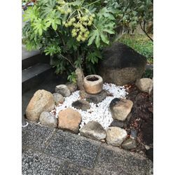 【地域密着】緑豊かな空間を創る★庭木剪定プロフェッショナルの画像2