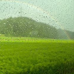 お盆あけ　秋の風を感じる季節への画像2